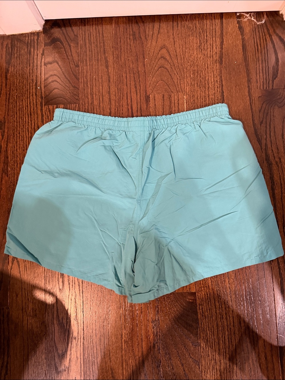 Patagonia Light Teal Baggies Shorts - Picture 3 of 3